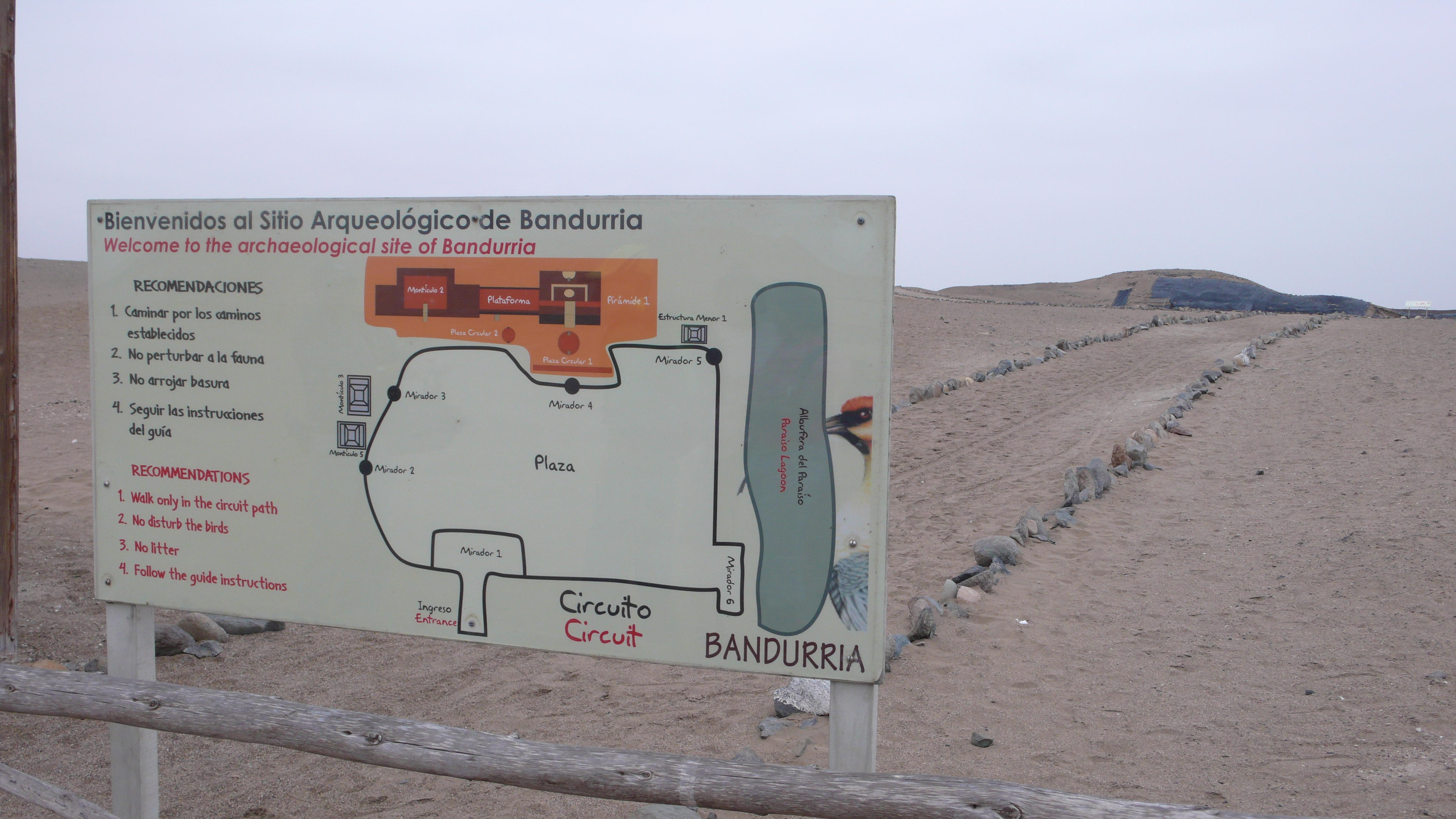 Bandurria