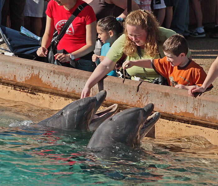 Sea World - Day Two