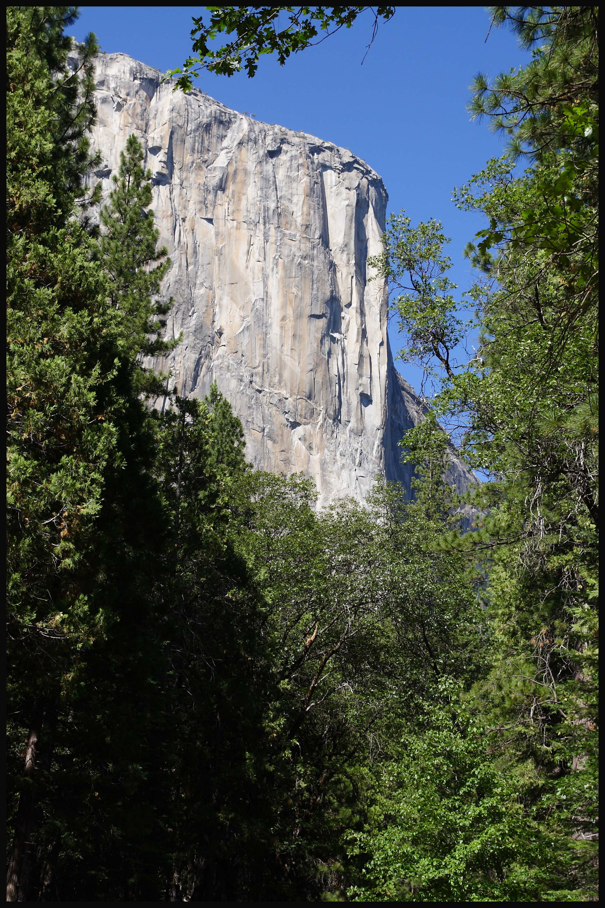 IMG_5416_edited-2.jpg