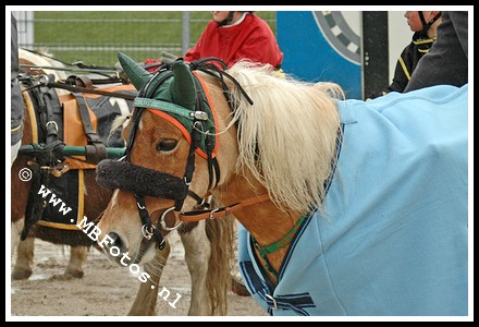 DSC_6711.jpg