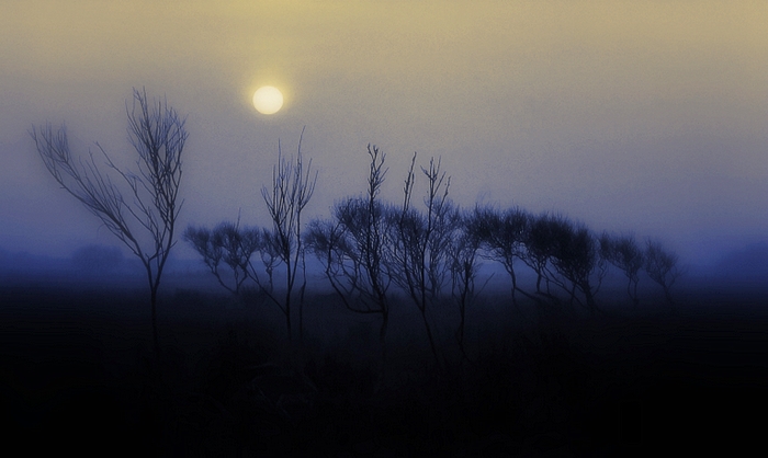 Winterton