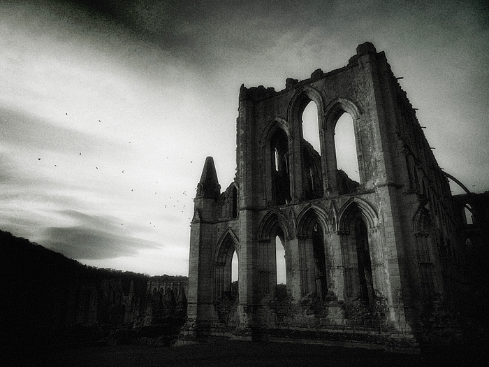 Rievaulx Abbey #2