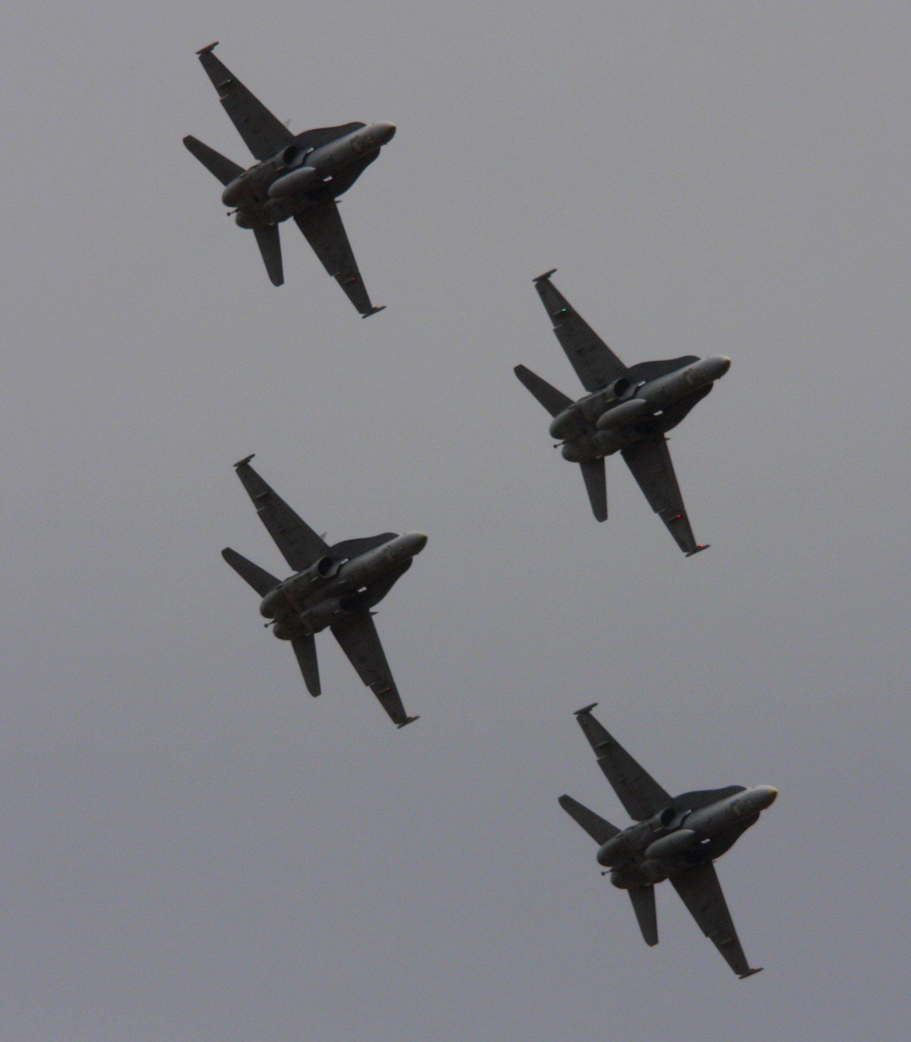 Hornet silhouette.jpg
