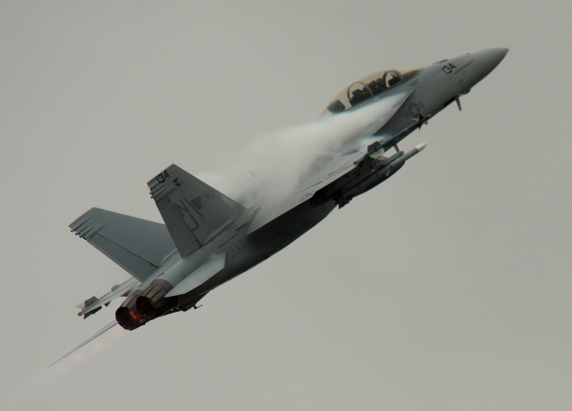 super Hornet in damp skies.jpg