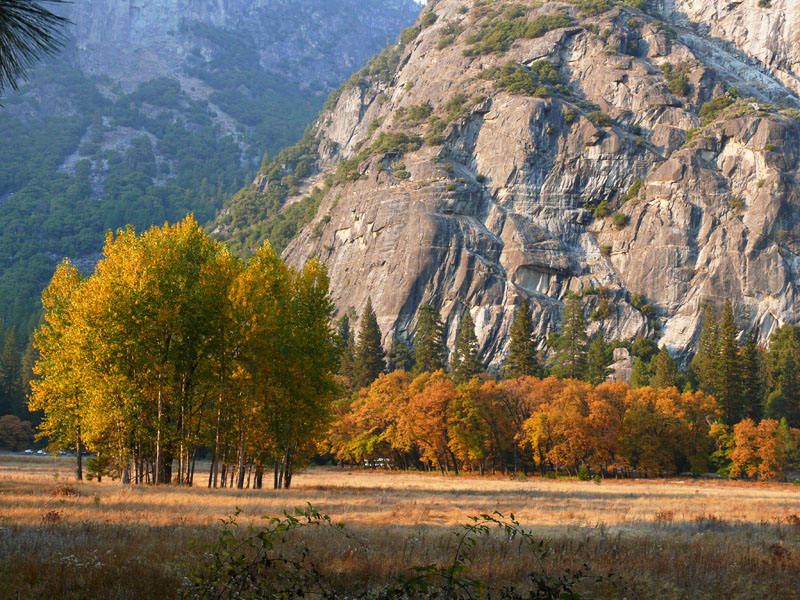 Ahwahnee Meadow