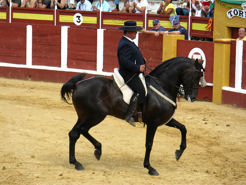 Fuengirola Feria