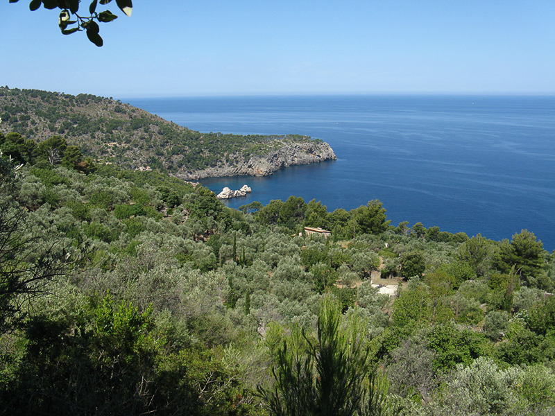 Coastal path to Deia