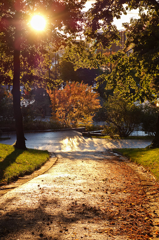 Autumn path