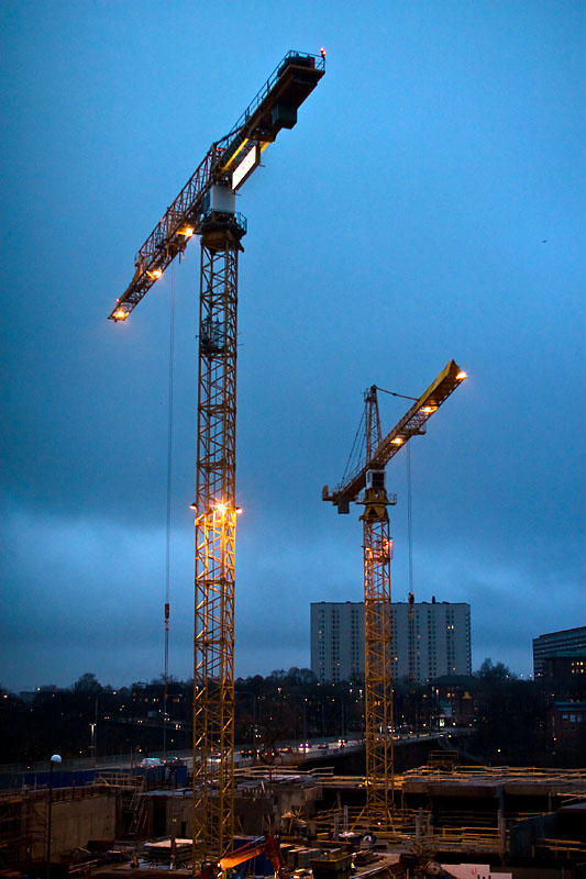 Cranes in twilight