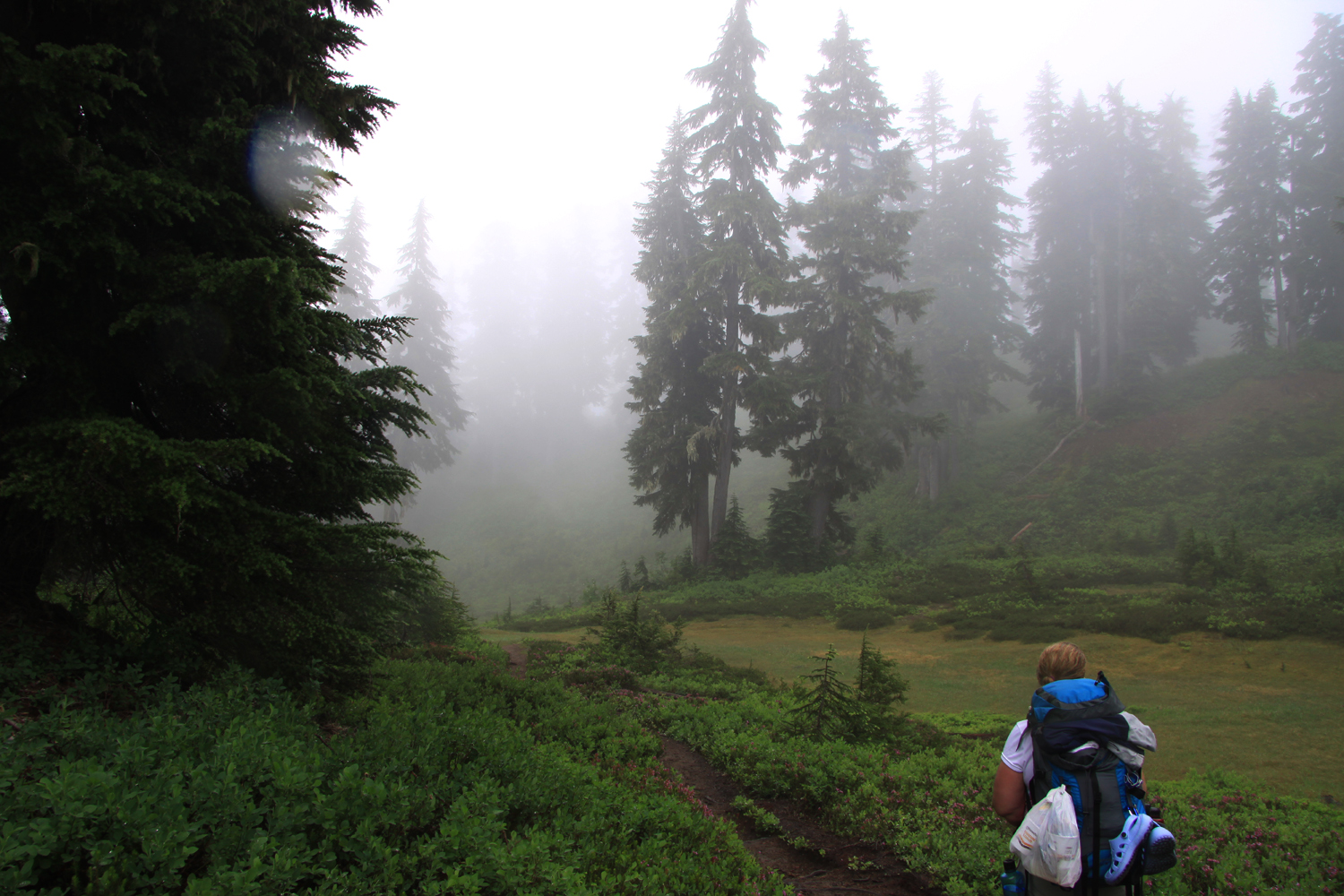 meadow on the way back from Blanca Lake