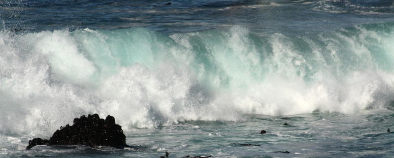 Watching The Surf