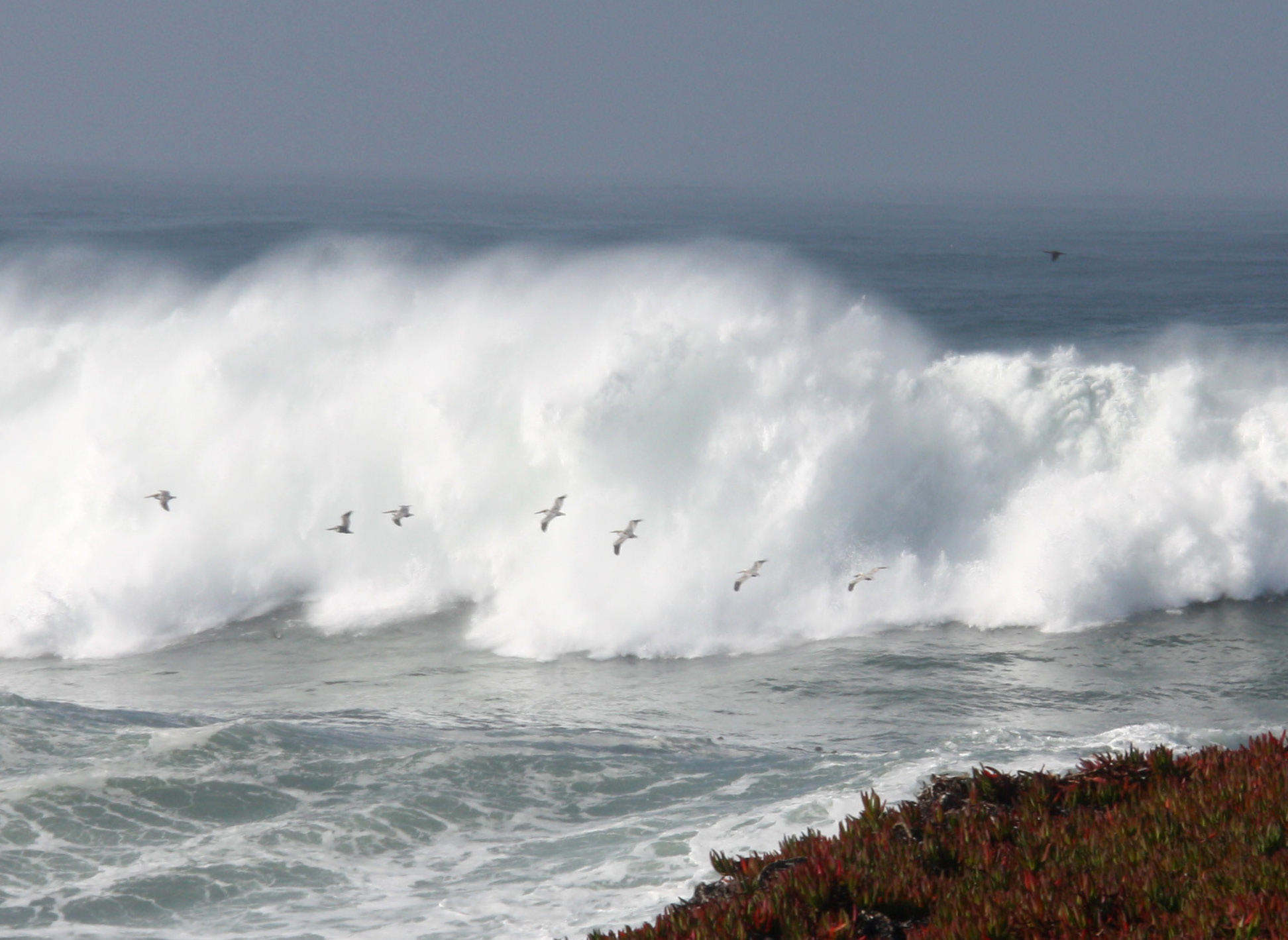 High Surf Todds Point