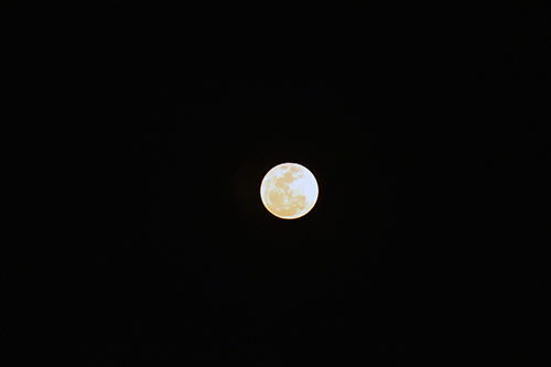 493 MOON.jpg
