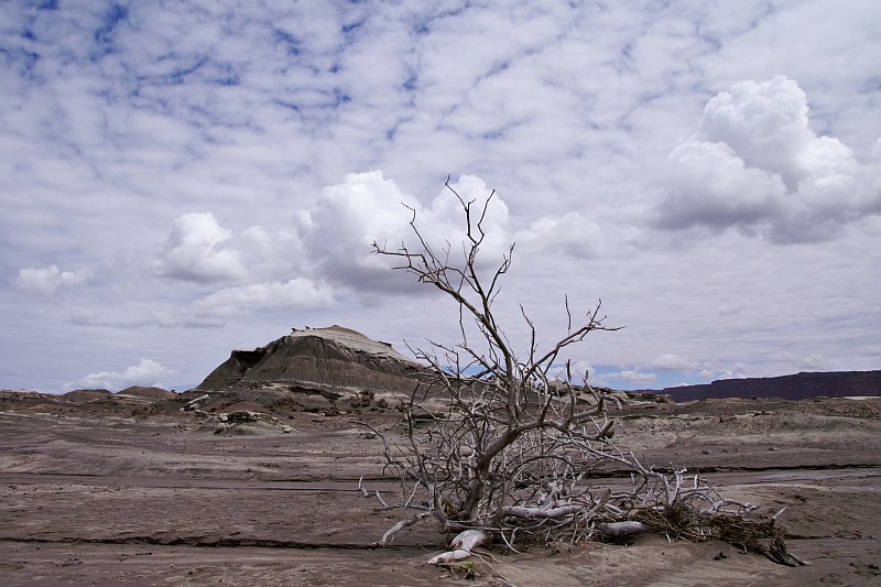 Parque Provincial Ischigualasto