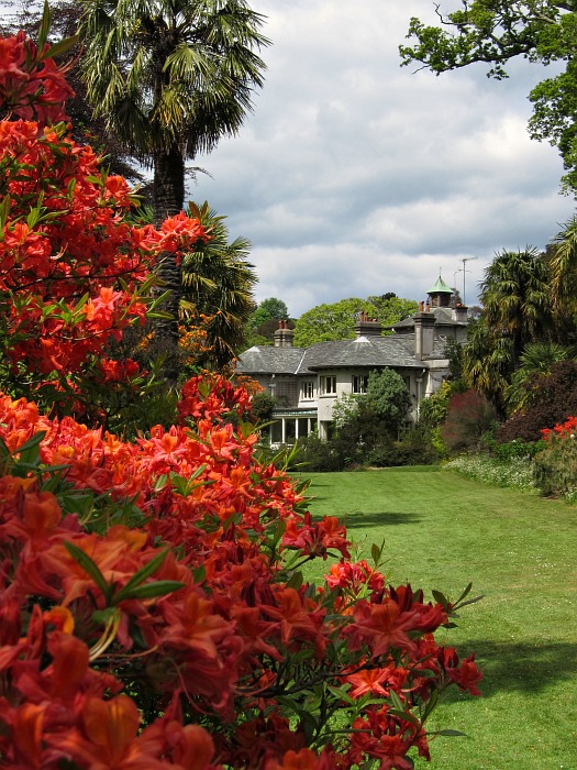 Mount Usher Gardens, near Ashford