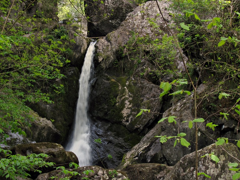 Devils Glen, near Ashford