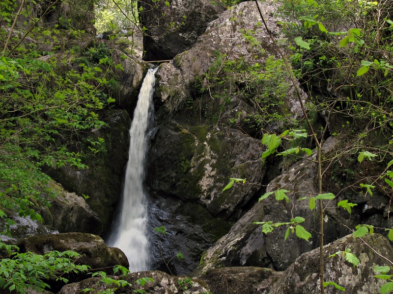 Devils Glen, near Ashford