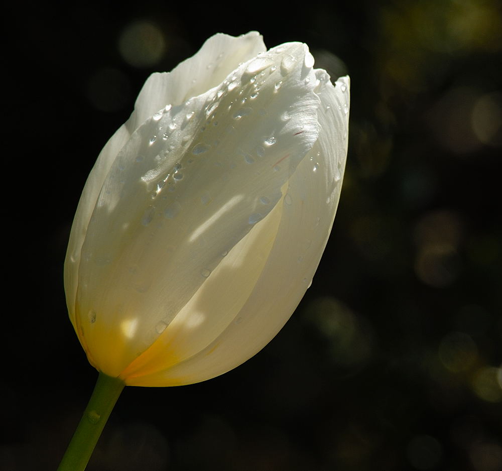 D25_6982.jpg
