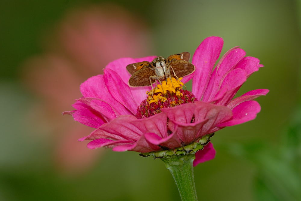 D26_5575.jpg