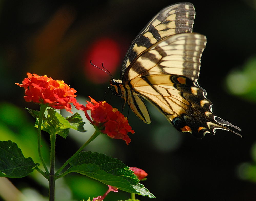 D26_5863.jpg