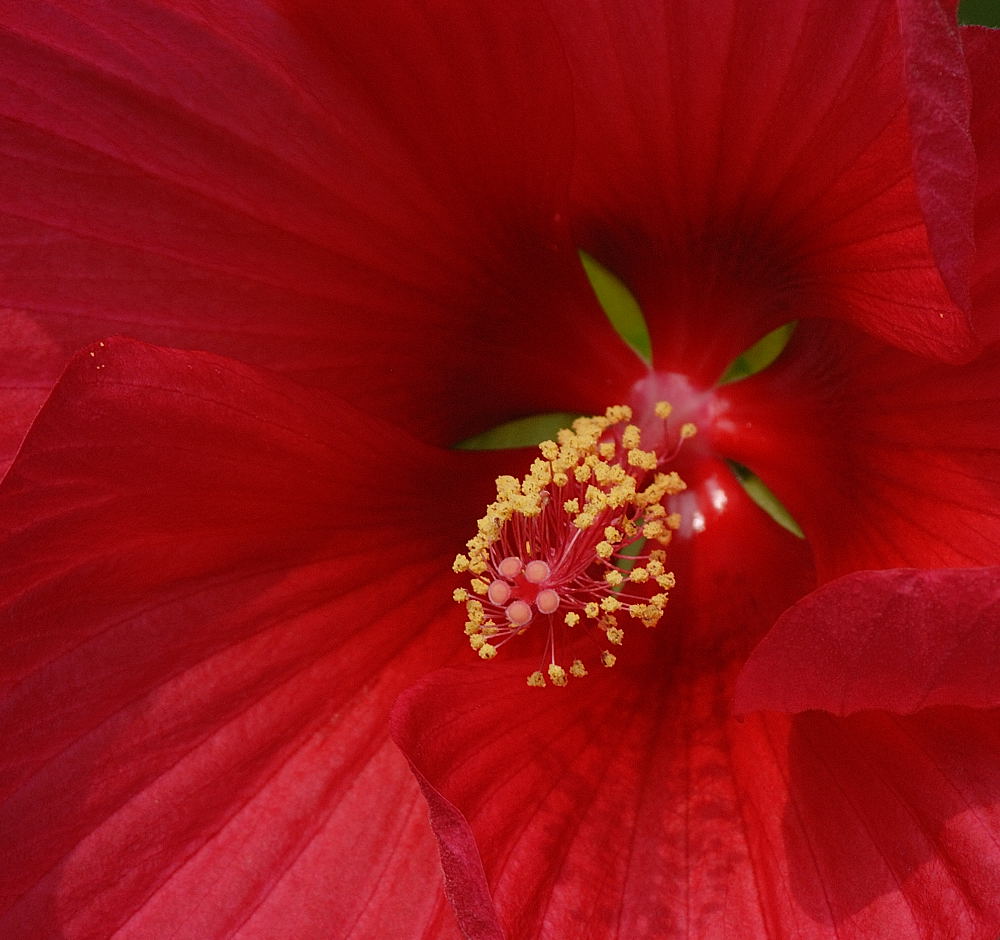 D26_6461.jpg