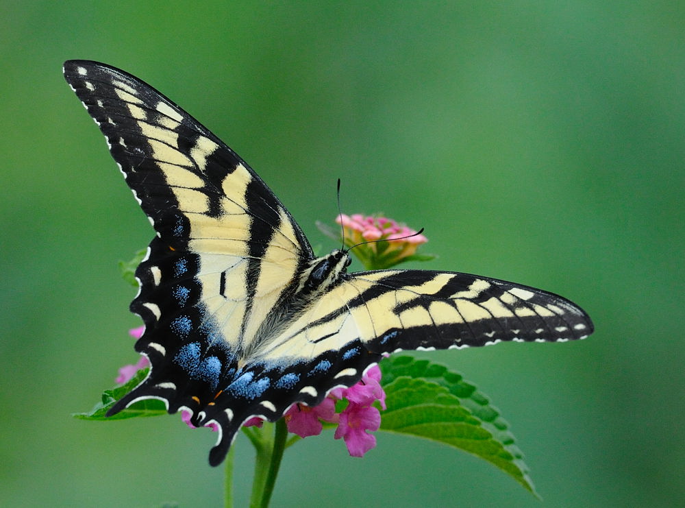 D30_9475.jpg
