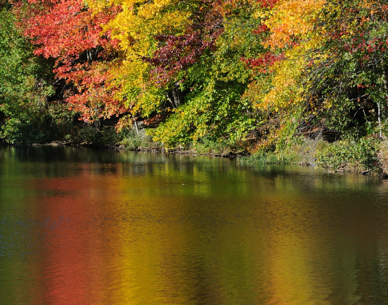 D33_6746.JPG