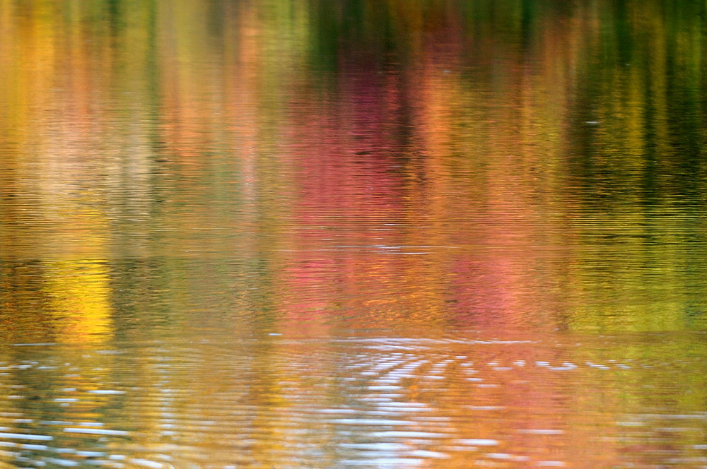 D33_7139.jpg