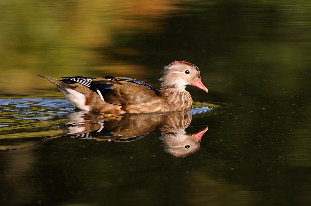 D33_5168.jpg