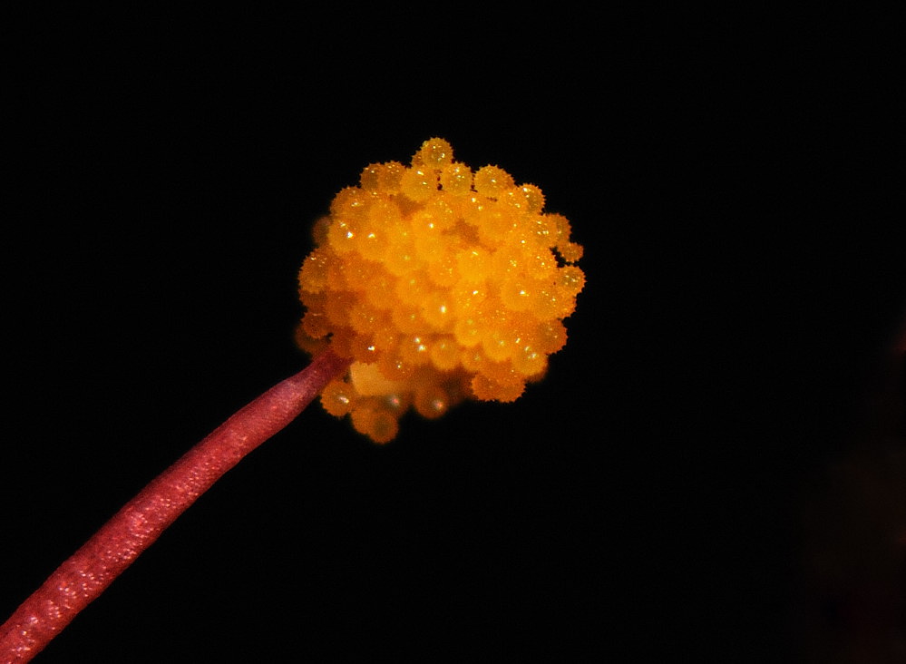D34_1242.jpg