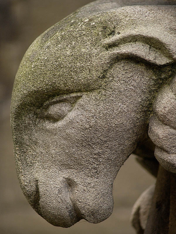Ram by Flick Merauld