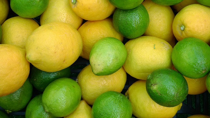 Floating Citrus Tang by Flick Merauld