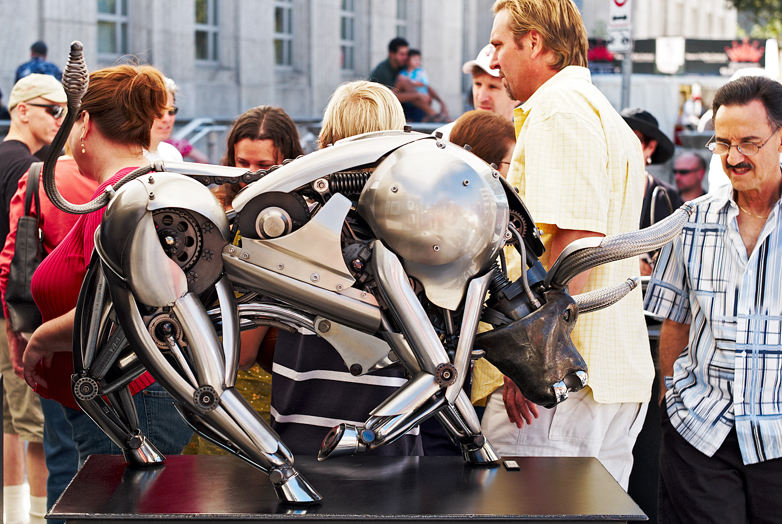 Lewis Tardy Bull 01