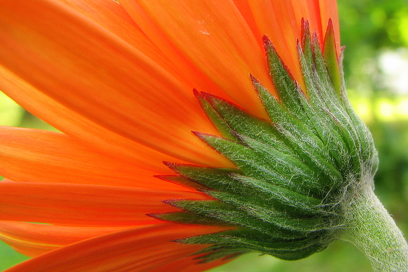 Just As Pretty...