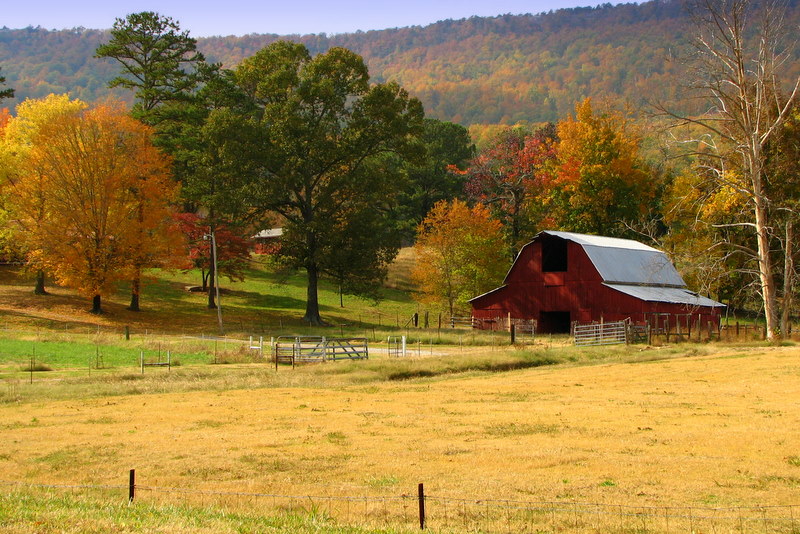 Same Barn