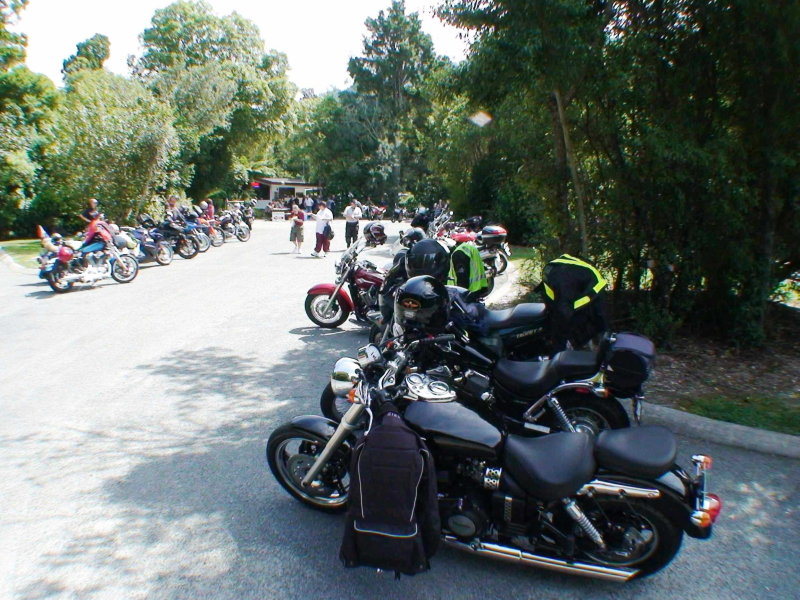 110219 Henry Cole Documentary 18 Pic Hank Verhoeven.jpg