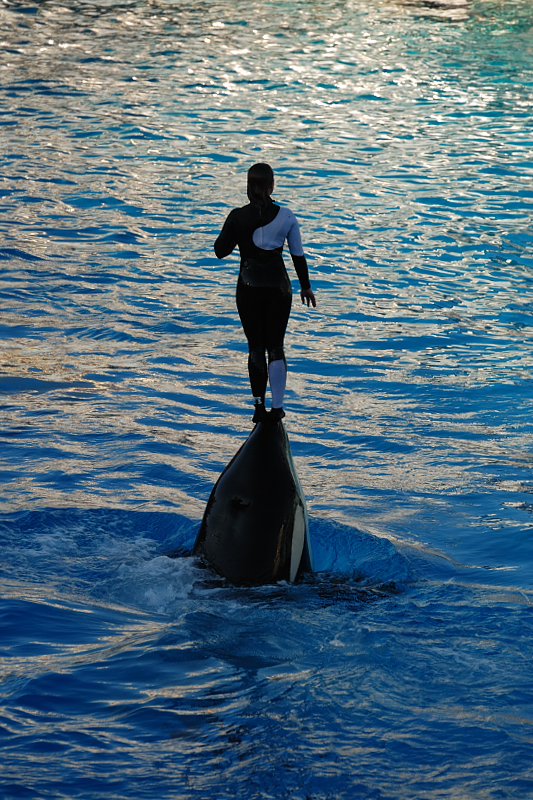 SEAWORLD