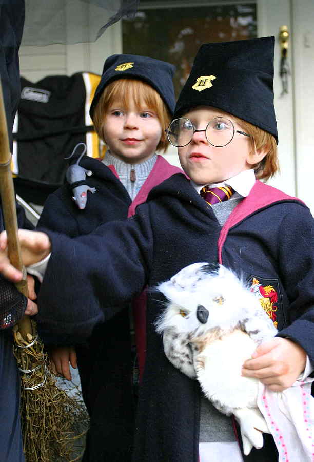 Harry Potter and Ron Weasley at Hogwarts Castle