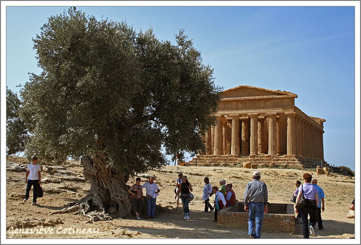 Temple de la Concorde / Tempio della Concordia