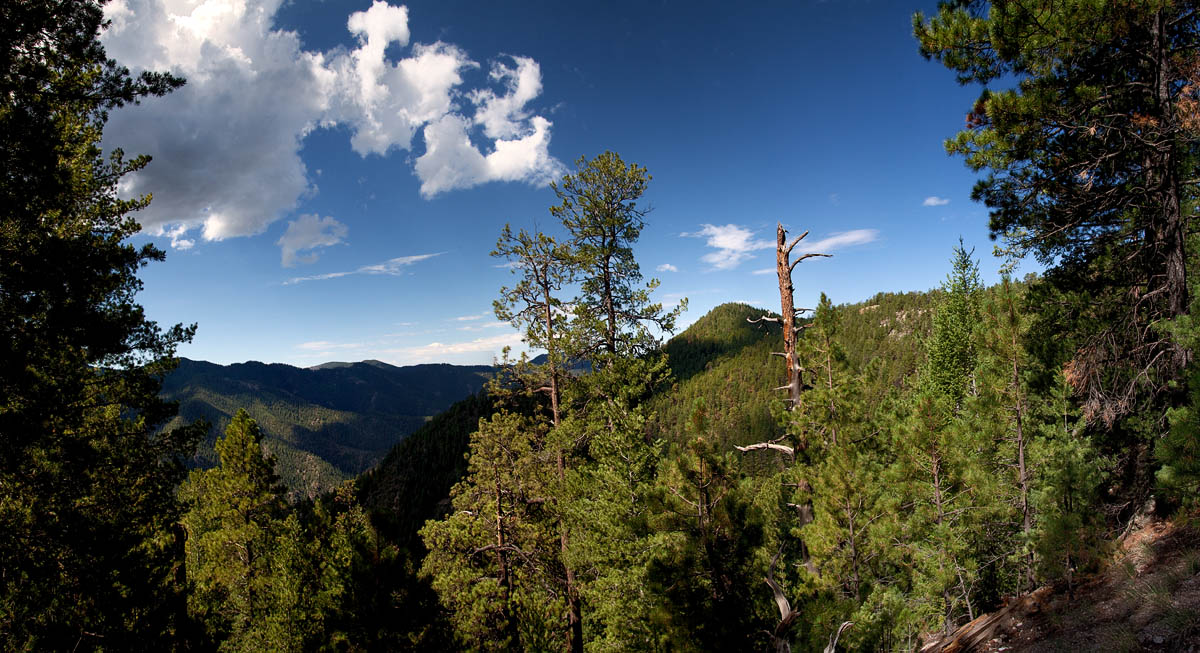 Whitewater Canyon panorama