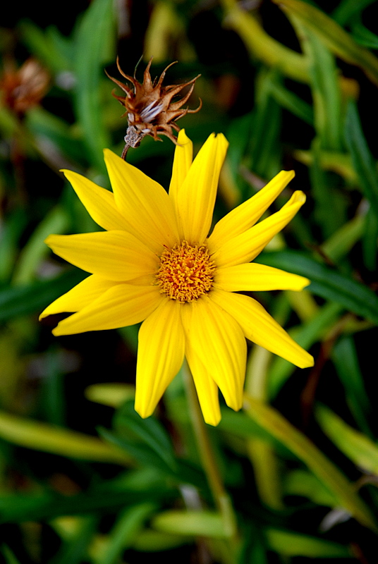 DSC_0300.JPG