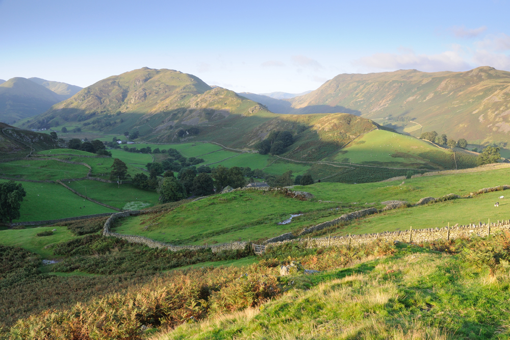 Martindale  09_DSC_4430