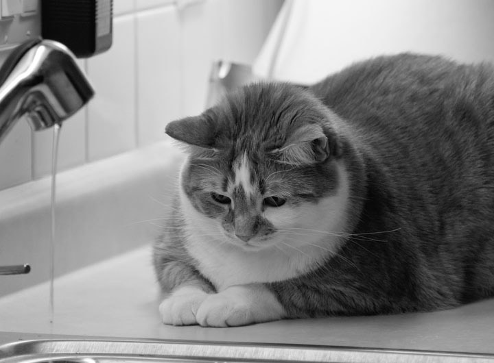 _MG_0040 BW