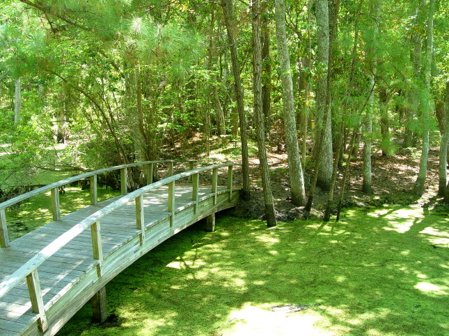 Nature Conservancy Reserve at Nags Head