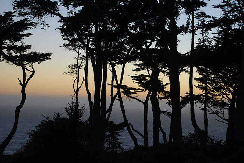 A last view through the Cypresses<br />0994.jpg