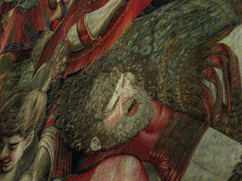 Faces in a tapestry0776