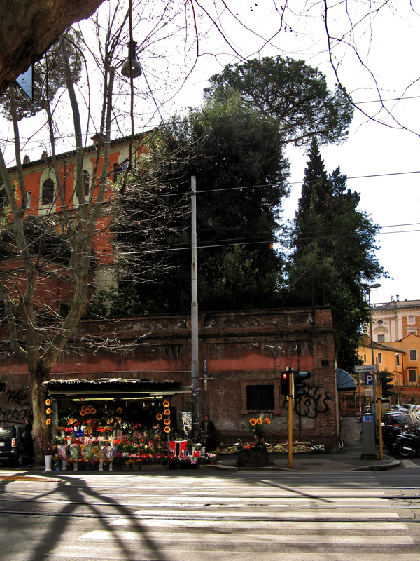 Flower vendor on Piazza Buenos Aires9910