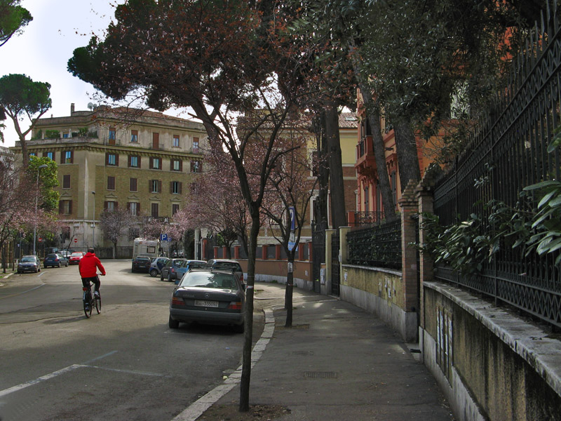 View on Via Serchio9959