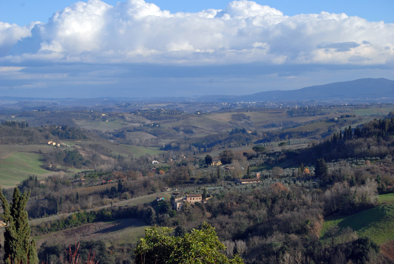 The Tuscan Countryside4099