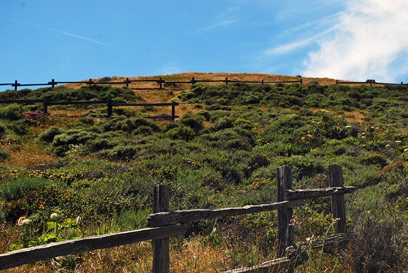Fences on the Trail5537